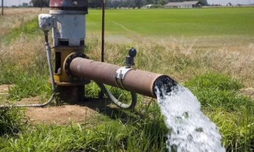 HOW TO CHOOSE THE RIGHT PUMP FOR AGRICULTURAL IRRIGATION