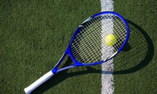 How Turf Wholesalers Support Professional Padel Court Installations