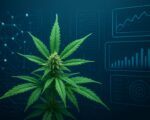 A close-up of a cannabis plant in front of a digital background with charts and graphs.